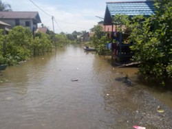 Banjir di Kapuas Hulu: 15 Ribu Jiwa Terdampak-1 Jembatan Rusak