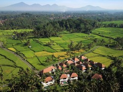 Resort di Tengah Sawah Ubud yang Asri dan Hijau, Cocok Buat Honeymoon!