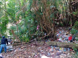 Parah! Pengunjung Ritual Suro Tinggalkan 200 Kg Sampah di Alas Purwo
