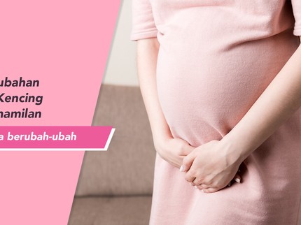 4 Fase Perubahan Frekuensi Kencing Selama Kehamilan Bunda