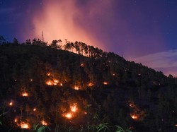 Selama 3 Hari, 40 Hektare Perbukitan di Samosir Terbakar