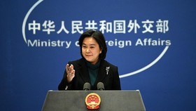 Netizen Serang Pejabat China Usai Klaim Taiwan Gegara Jual Pangsit