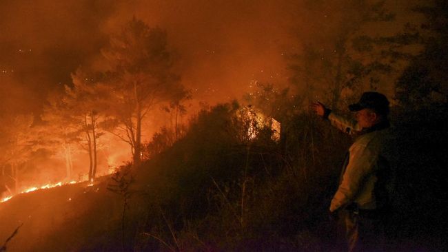Kebakaran hutan dan lahan (Karhutla) seluas 10 hektare terjadi di Taman Nasional Bromo Tengger Semeru (TNBTS) Jawa Timur.