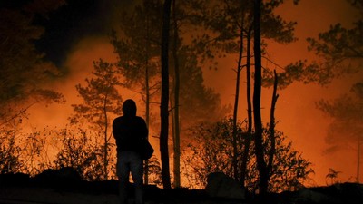 img-title Gunung Kilimanjaro Terbakar Dekat Kamp Pendakian di 4.000 mdpl