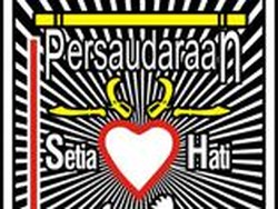 Profil PSHT, Organisasi Silat yang Ikut Sesalkan Tawuran Tamsis Jogja