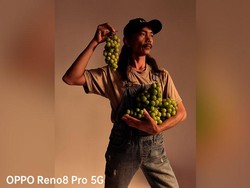 Kegigihan Yatno Gondrong, Sulap Lahan Buangan Sampah Jadi Kebun Anggur