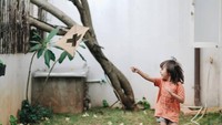 <p>Meskipun tak terlalu luas, namun keberadaan ruang terbuka hijau di rumah Ringgo dan Sabai ini menambah faktor kenyamanan. Apalagi, mereka punya dua anak kecil. (Foto: Instagram/@ringgoagus)</p>