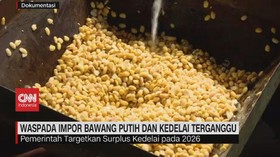 VIDEO: Waspada Impor Bawang Putih dan Kedelai Terganggu
