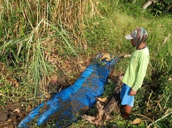 Teka-teki Mayat Pria Dalam Selang yang Bikin Geger Jombang