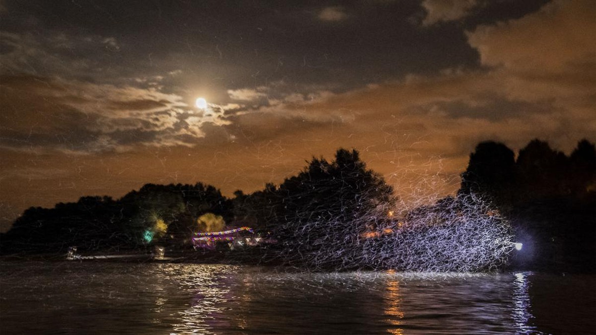 FOTO: Perayaan Sungai Hungaria Bebas Polusi ala Lalat Capung