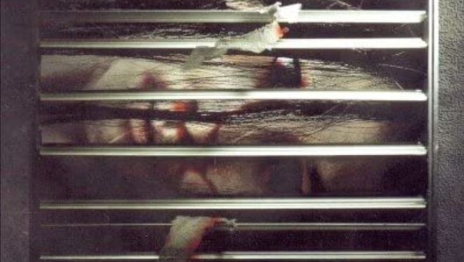 Sinopsis The Sisters, film horor Thailand yang mengisahkan teror hantu PSK yang tewas mengenaskan di kamar hotel.