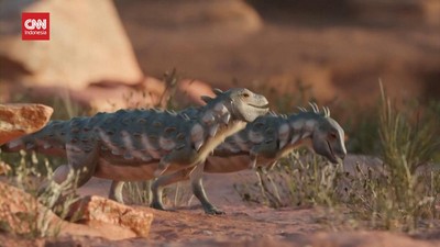VIDEO: Penemuan Fosil Dinosaurus Kerdil Lapis Baja di Argentina