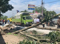 Petaka Truk Terigu Vs 7 Kendaraan Tewaskan 6 Orang di Cianjur