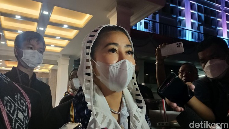 Ketua Umum Partai Republik Satu, Hasnaeni (Karin Nur Secha/detikcom) Ketua Umum Partai Republik Satu, Hasnaeni (Karin Nur Secha/detikcom)