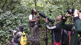Burungnesia, Kisah Manusia-manusia Burung yang Terbang Mandiri