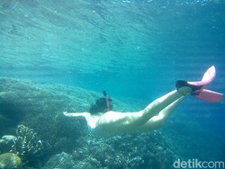 Diving di Bunaken Aja, Biayanya Cuma Rp 500 Ribuan Kok