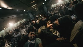 5 Fakta Menarik Film Emergency Declaration