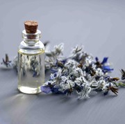 Ikuti Trik Ini Agar Wangi Parfum Bisa Awet Seharian yuk, Bauties!