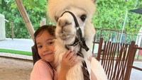 <p>Tak hanya itu, ternyata Gempi juga termasuk anak yang menyayangi binatang. Keren banget, ya! (Foto: Instagram: @gisel_la)</p>
