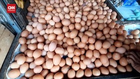 VIDEO: Harga Telur Naik, Warga Beli Telur Pecah
