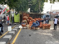 Truk Terguling di Jalan Nasional Jombang, Ratusan Ayam Potong Tumpah ke Jalan