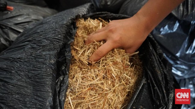 DPR mengkritisi program pengembangan sorgum untuk menggantikan gandum yang dilakukan Jokowi. Mereka mengatakan sorgum tak bisa gantikan gandum 100 persen.