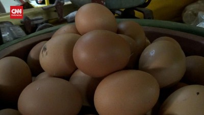 VIDEO: Tepat Hari Kemerdekaan, Harga Telur Ayam Tembus Rp31.000 Per Kg