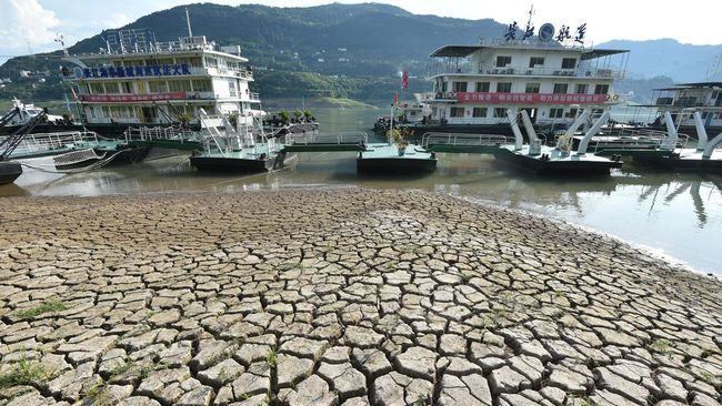 Xi Jinping Awas! China Bakal Dihantam Malapetaka Tahun Depan