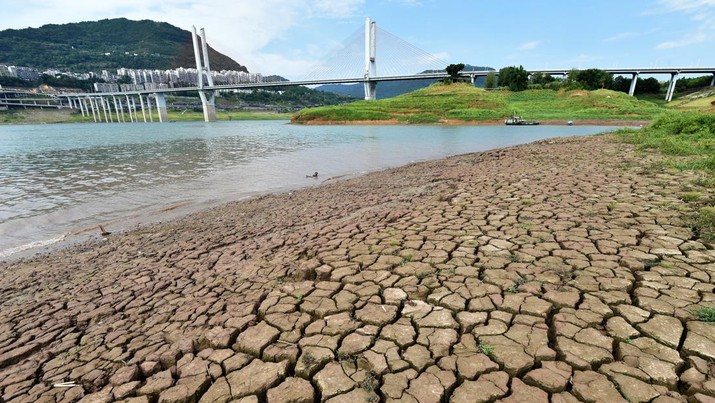Kondisi dasar sungai yang retak akibat kekeringan di bagian Chongqing Sungai Yangtze di daerah Yunyang di barat daya Kota Chongqing China, Selasa (16/8/2022) China mengalami gelombang panas yang berkepanjangan sejak Juli. (Photo by VCG/VCG via Getty Images)
