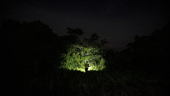 FOTO: Berburu Cuan dari Ular Sanca di Florida, AS