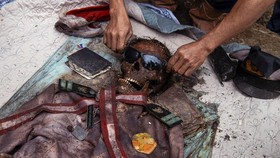 FOTO: Tradisi Ma'nene, Ritual Ganti Pakaian Jasad Leluhur