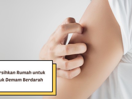 4 Tips Membersihkan Rumah untuk Cegah Nyamuk Demam Berdarah