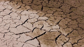El Nino Ternyata Bisa Ganggu Penyaluran BBM, Kok Bisa? - Infolitik