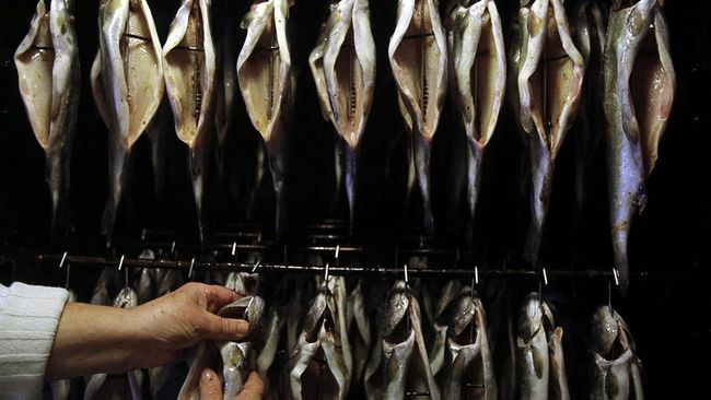 Tak semua ikan aman untuk penderita asam urat. Ada beberapa ikan yang tak boleh dimakan penderita asam urat. Apa saja?