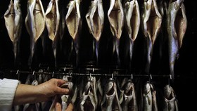 5 Ikan yang Tak Boleh Dimakan Penderita Asam Urat