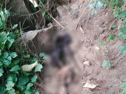 Temuan Kerangka di Buleleng Diduga Kuat Lansia yang Hilang Bulan Lalu