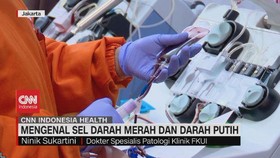 VIDEO: Mengenal Sel Darah Merah dan Darah Putih
