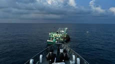 Kapal Rusia Bawa 30 Ton Ikan Ditangkap di Laut Arafuru