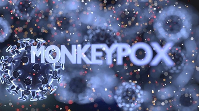 Organisasi Kesehatan Dunia (WHO) mengumumkan wabah monkeypox atau cacar monyet kini bukan lagi darurat kesehatan global.