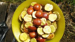 Makan Jengkol Bikin Kolesterol Naik? Begini Kata Pakar