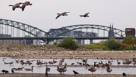 Tiket Pesawat Turun, Ini 10 Destinasi Liburan Luar Negeri Terjangkau