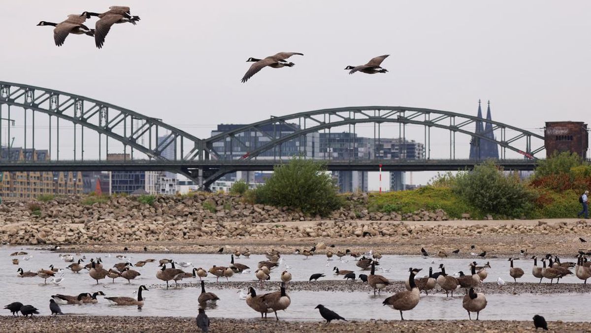 Ini Alasan Kenapa Liburan ke Jerman dan Kanada Bisa Lebih Murah