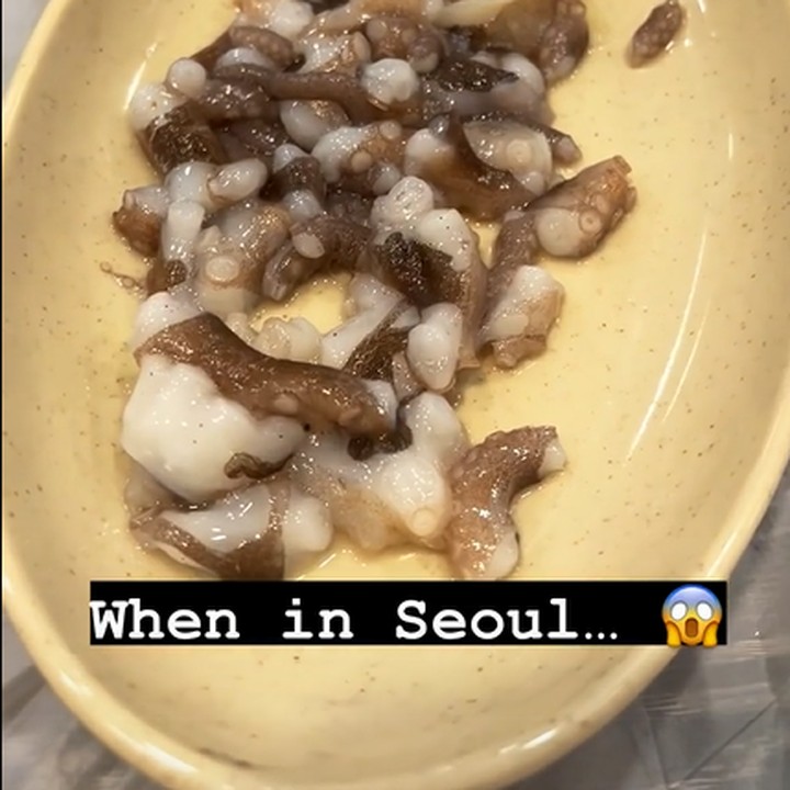<p>Salah satu di antaranya, yakni gurita mentah yang masih bergerak saat masuk ke dalam mulut. Momen Maudy Ayunda makan potongan gurita yang masih bergerak ini diabadikan sang suami dalam sebuah video pendek. "<em>Don’t think @maudyayunda liked the fresh octopus very much</em>…," ungkap Jesse Choi melalui akun @jessechoi_. (Foto: Instagram @jessechoi_)<br /><br /><br /></p>