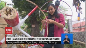 VIDEO: Sehari Menjadi Pedagang Pohon Panjat Pinang