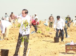 Jokowi Ungkap Alsintan Kementan Tak Produktif, Janjikan Solusi Ini ke Petani