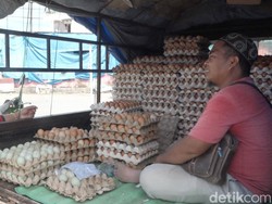 Warga di Polman Menjerit Harga Telur Naik Drastis Jadi Rp 58.000 per Rak