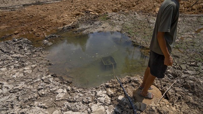 Basarnas telah menyiapkan pelatihan untuk menolok korban terdampak kekeringan. Puncak kekeringan diprediksi terjadi akhir tahun.