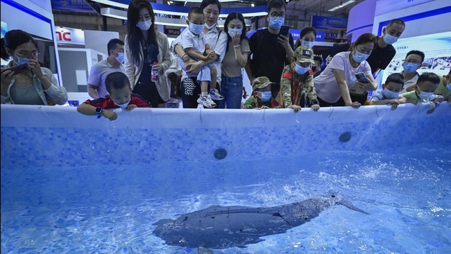 FOTO: Robot-Robot Canggih di Konferensi Robot Dunia di China