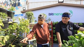 BRI Menanam, Upaya Berkelanjutan Guna Perkuat Penerapan Prinsip ESG