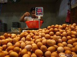 Harga Telur Tembus Rp 31.000/Kg, Tertinggi dalam 5 Tahun
